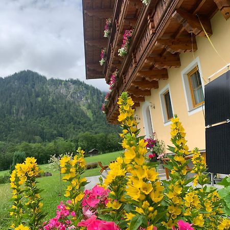 Alpen Appartements Oberlehengut Werfenweng Kültér fotó