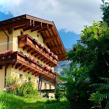 Alpen Appartements Oberlehengut Werfenweng Kültér fotó