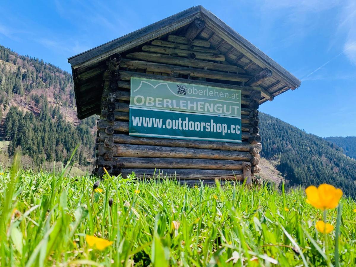 Alpen Appartements Oberlehengut Werfenweng Kültér fotó