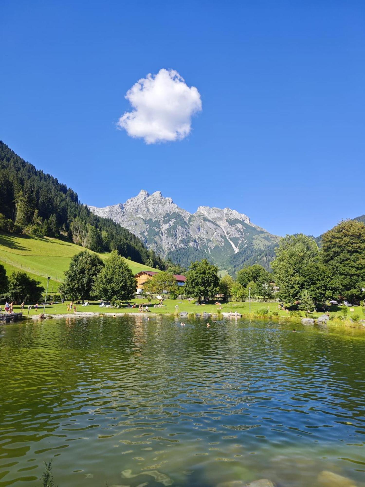 Alpen Appartements Oberlehengut Werfenweng Kültér fotó