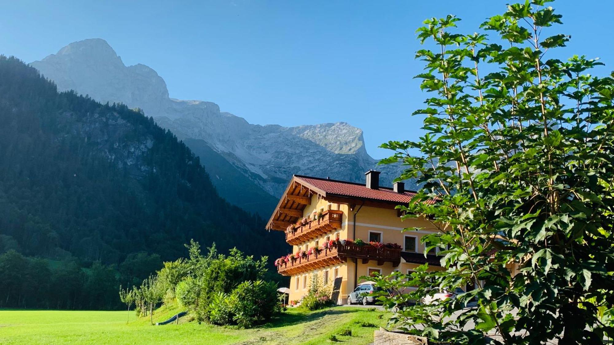 Alpen Appartements Oberlehengut Werfenweng Kültér fotó