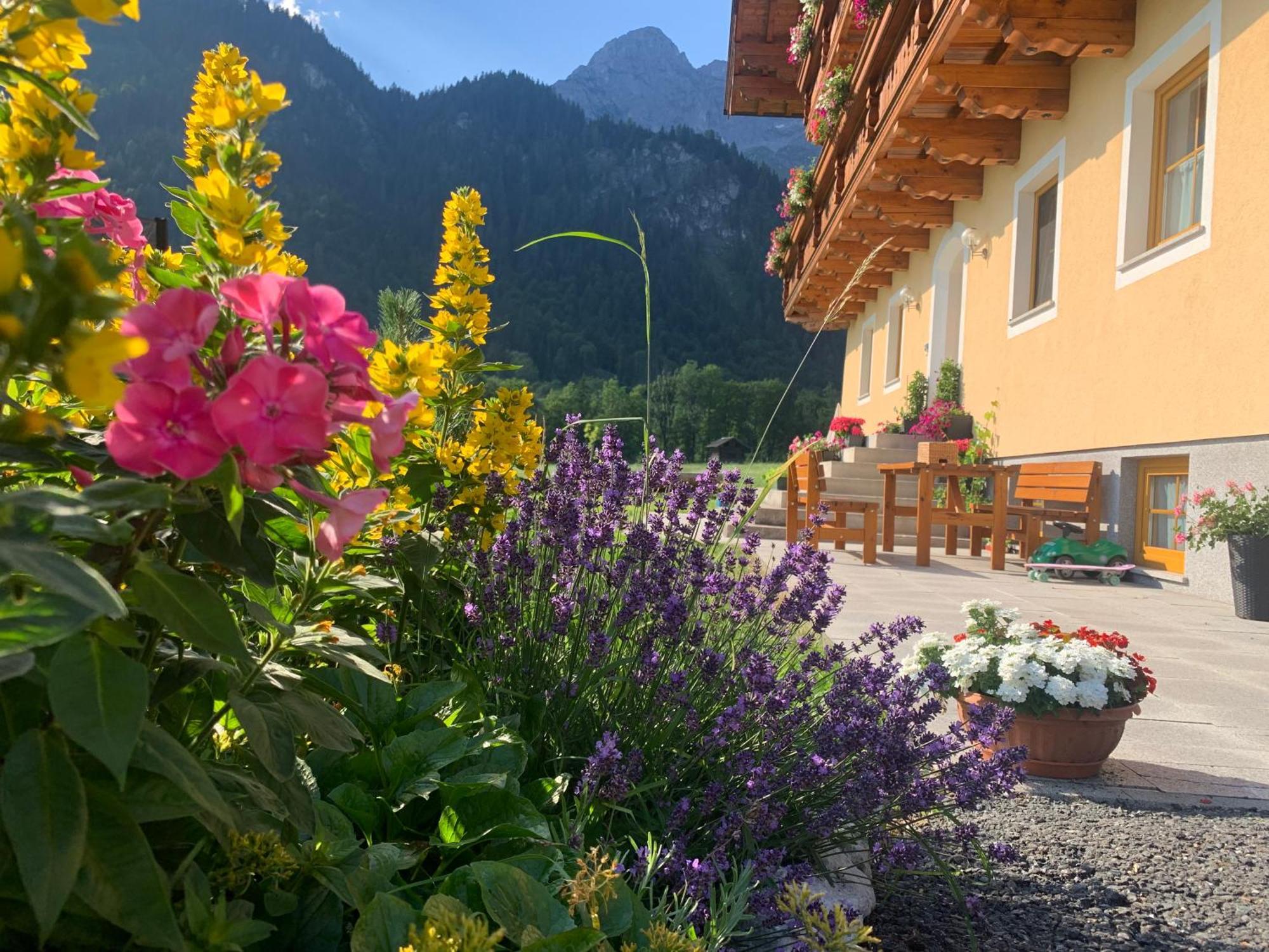 Alpen Appartements Oberlehengut Werfenweng Kültér fotó
