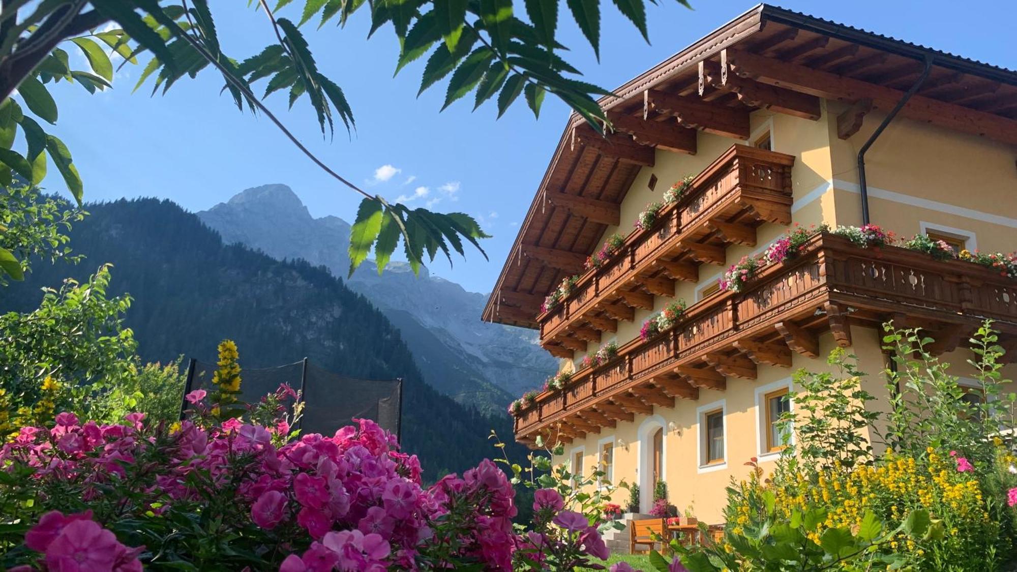 Alpen Appartements Oberlehengut Werfenweng Kültér fotó
