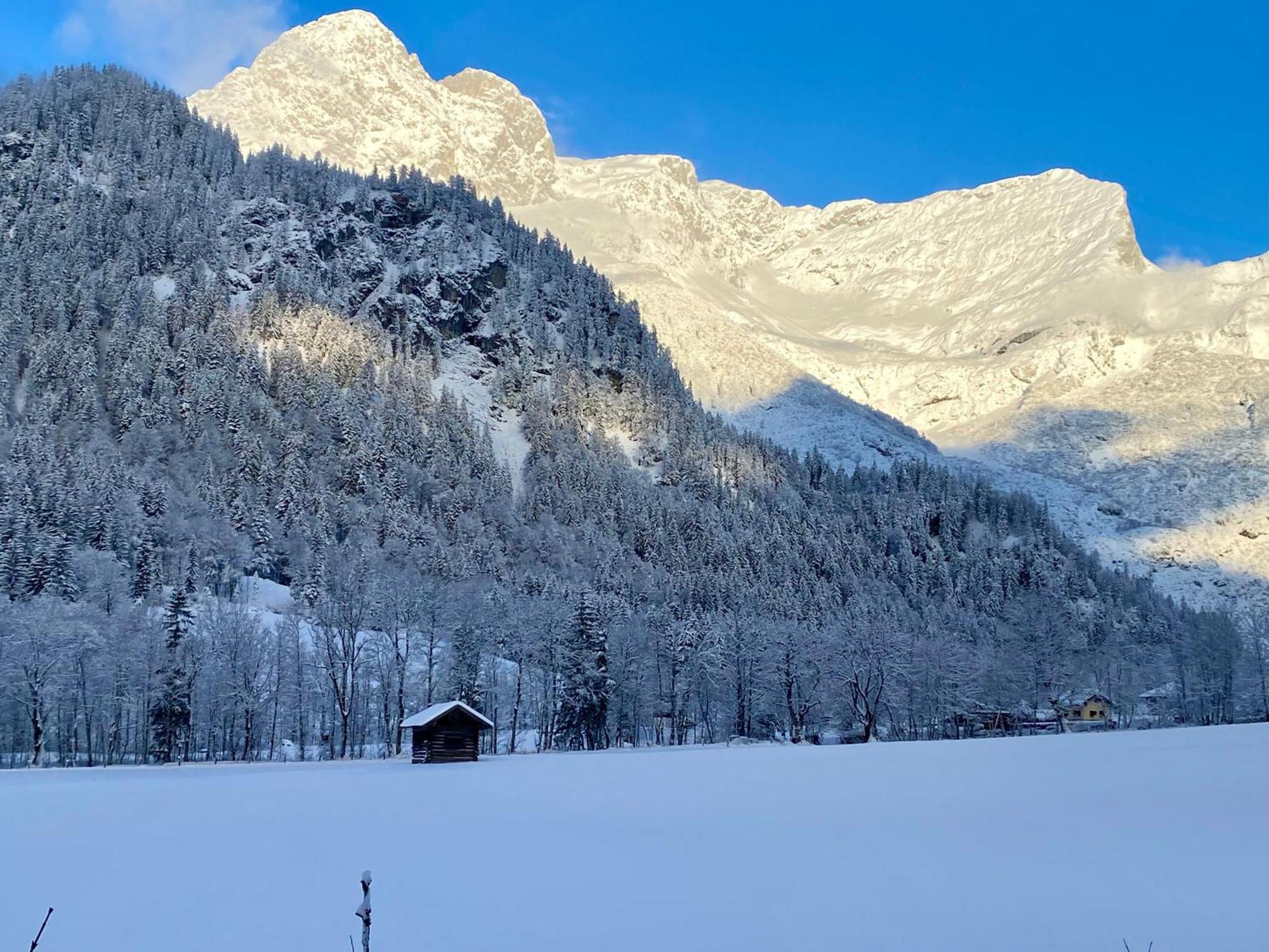 Alpen Appartements Oberlehengut Werfenweng Kültér fotó