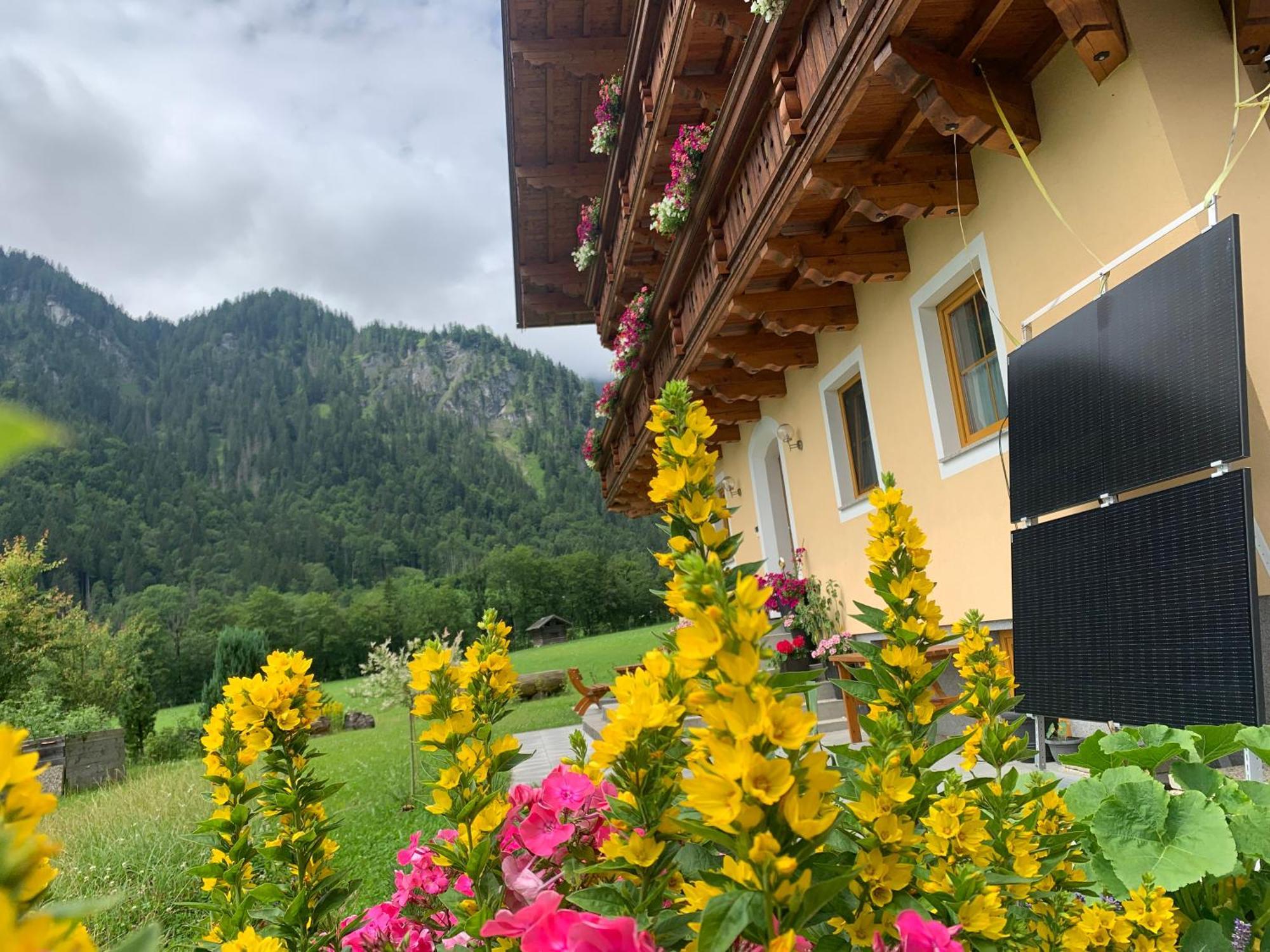 Alpen Appartements Oberlehengut Werfenweng Kültér fotó