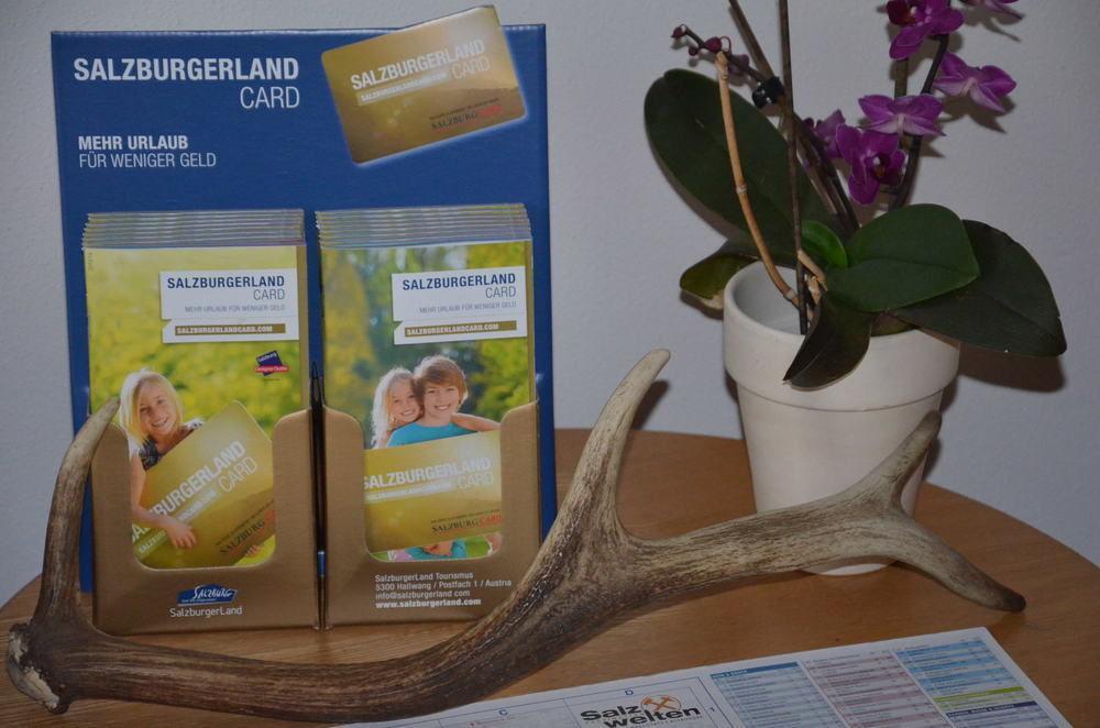 Alpen Appartements Oberlehengut Werfenweng Kültér fotó