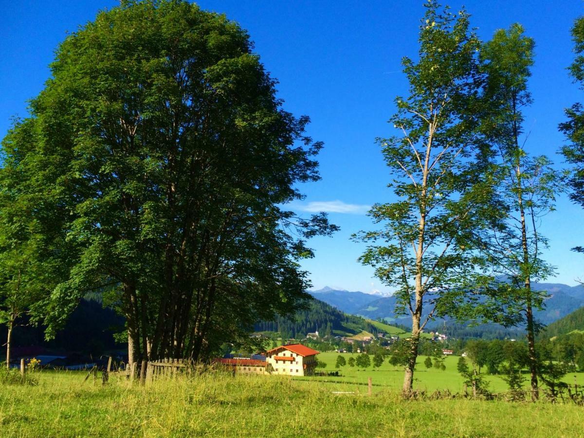 Alpen Appartements Oberlehengut Werfenweng Kültér fotó