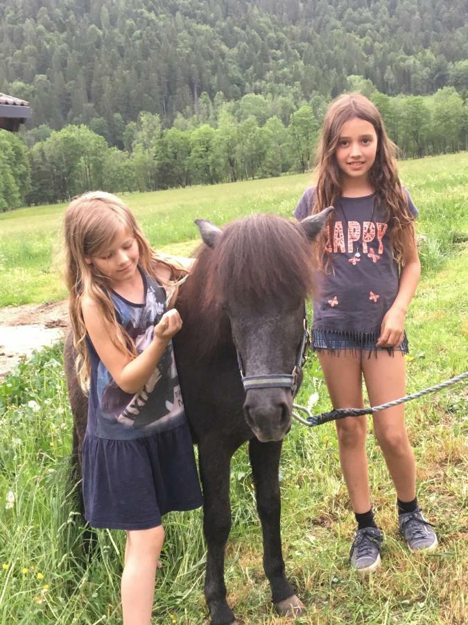 Alpen Appartements Oberlehengut Werfenweng Kültér fotó